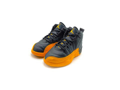 Air Jordan 12 Retro