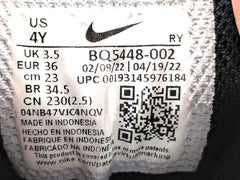 Nike Court Borough Low 2