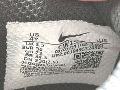 Nike Dunk Low Retro Panda