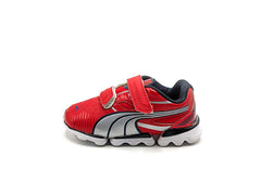 Puma Walleri