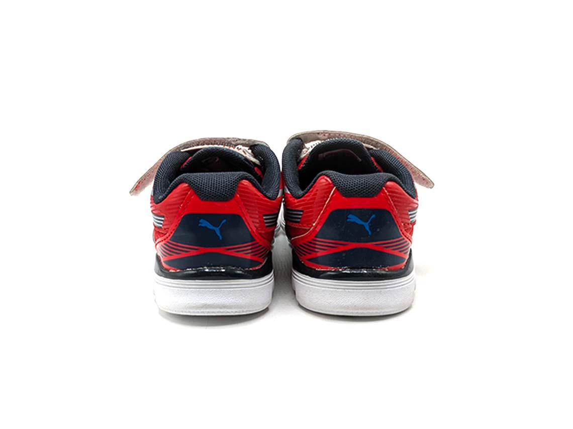 Puma Walleri
