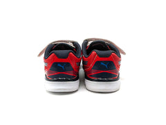 Puma Walleri