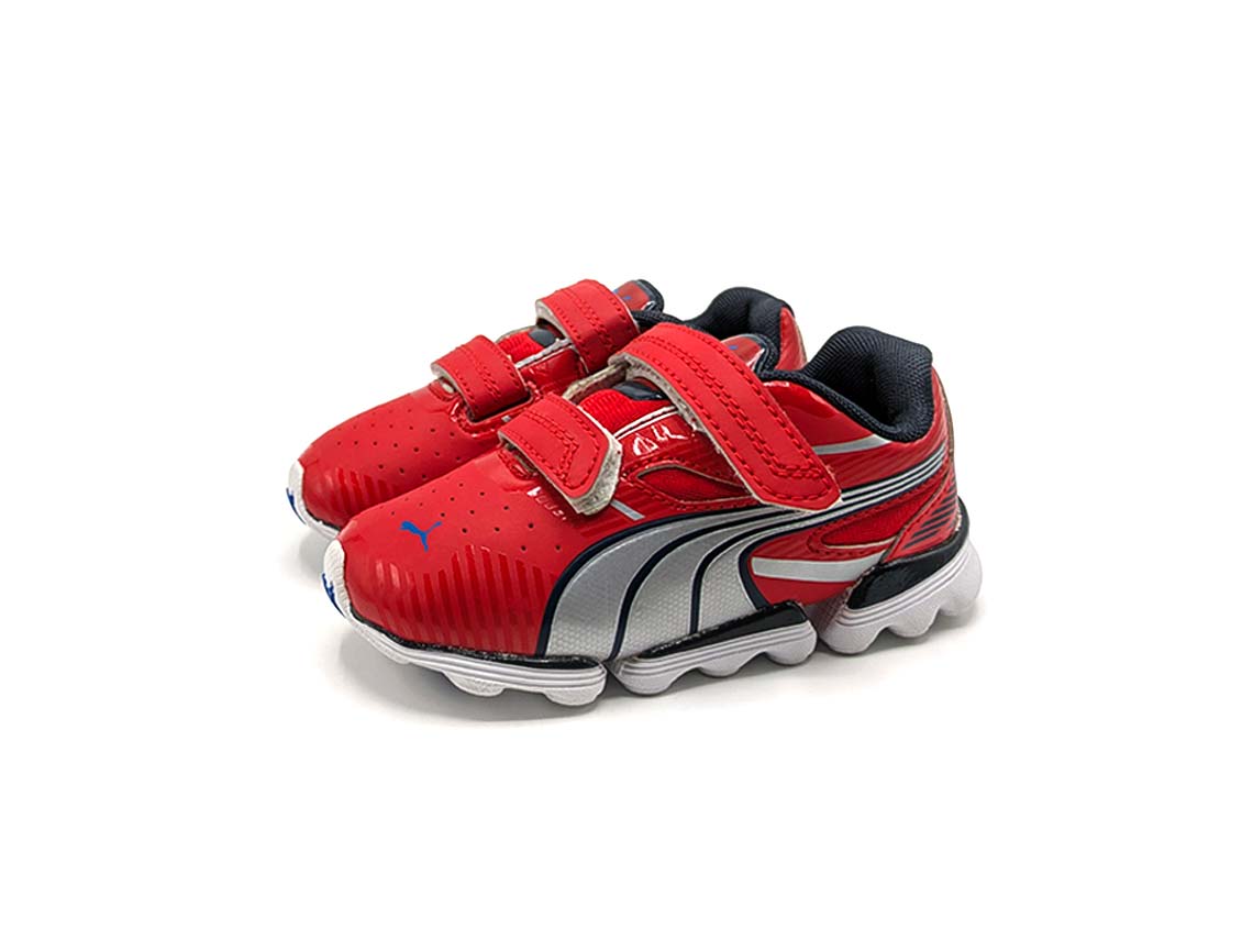 Puma Walleri