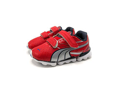 Puma Walleri