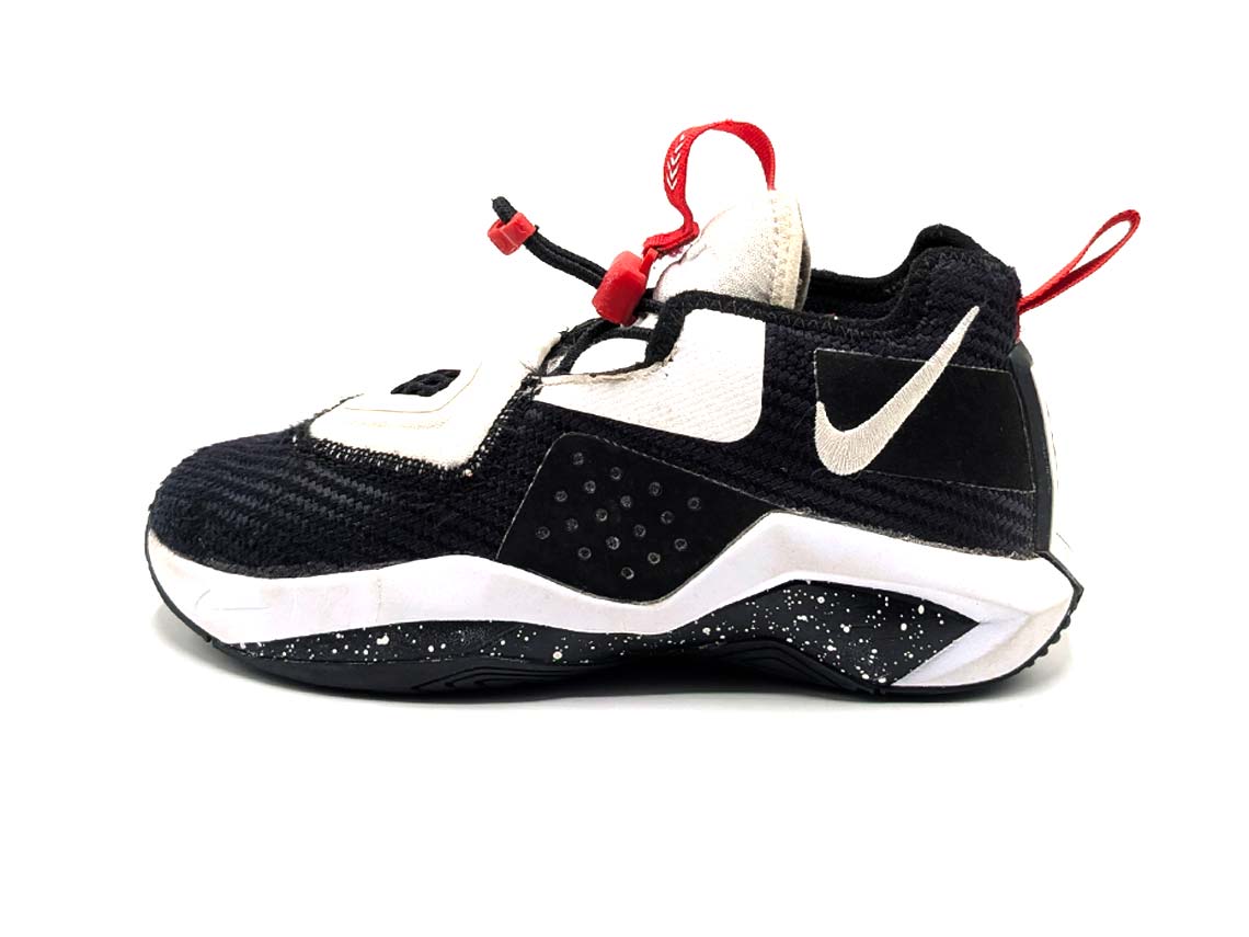 Nike LeBron