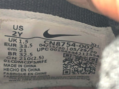 Nike LeBron