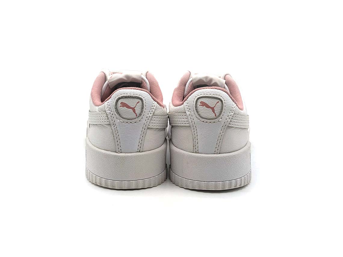 Puma Carina L