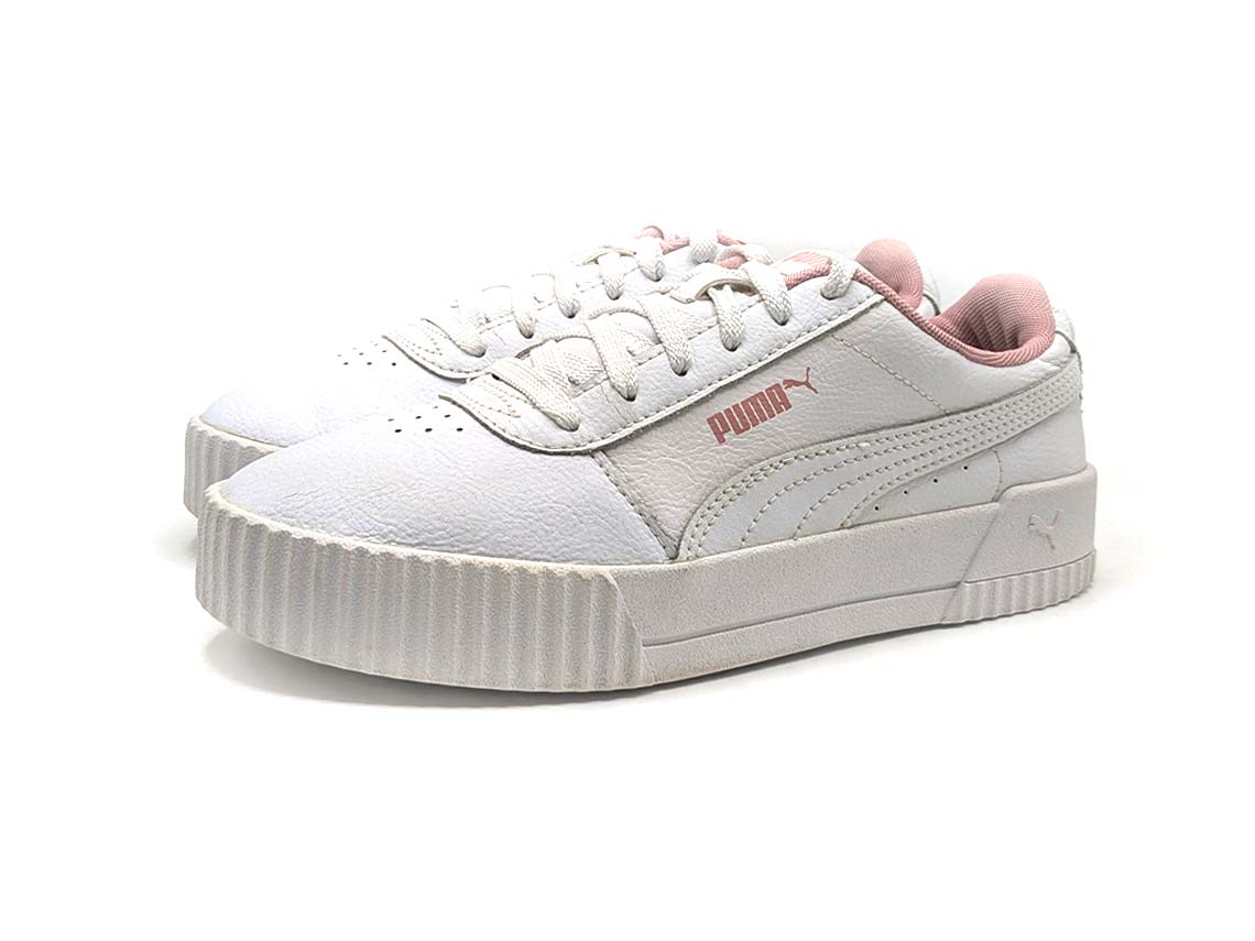 Puma Carina L