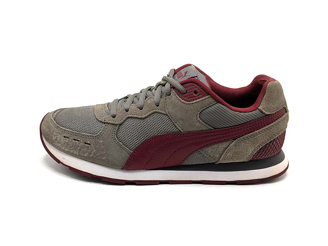 Puma Vista
