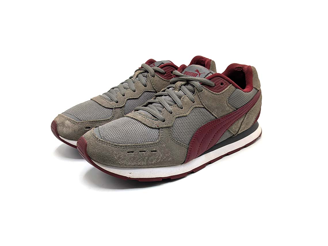 Puma Vista
