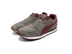 Puma Vista