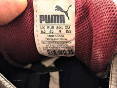 Puma Vista