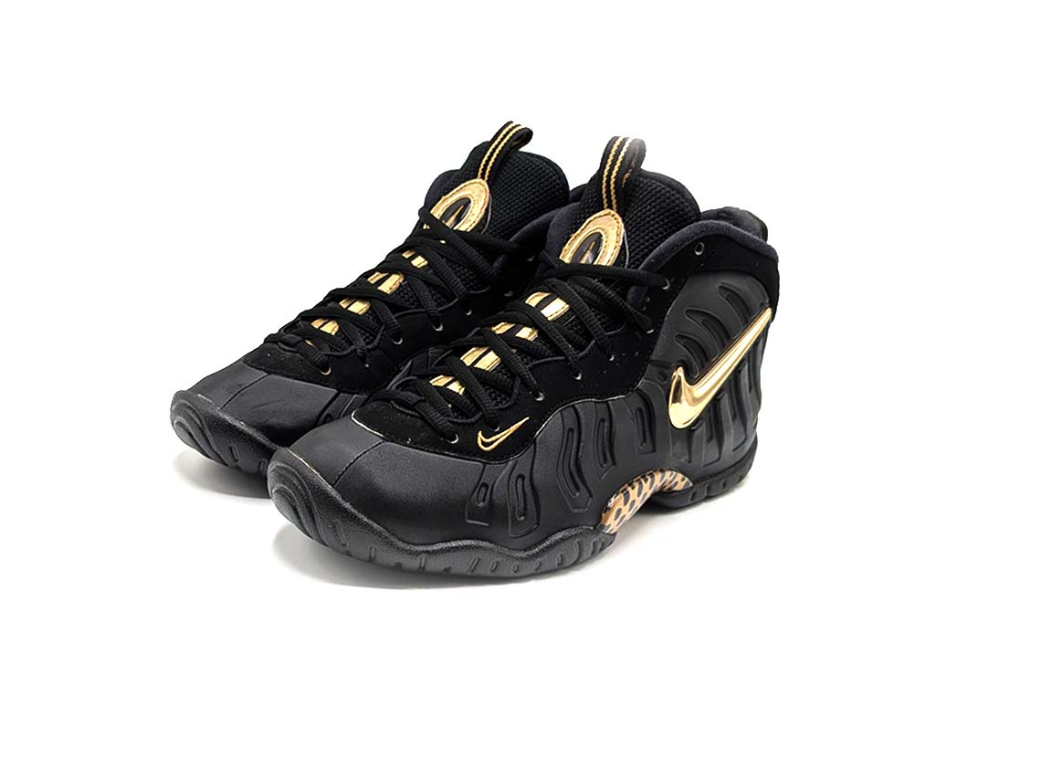 Nike Air Foamposite Pro