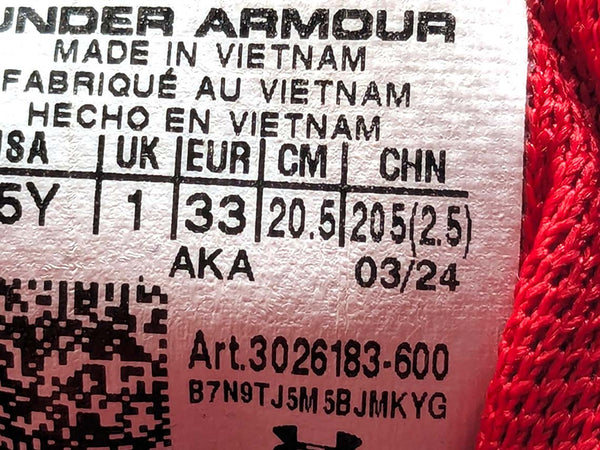 Under Armour Assert 10